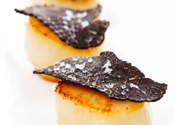 Saint jacques aux Truffes fraîches - Truffe Noire (Tuber Melanosporum) ou Truffe du Périgord
