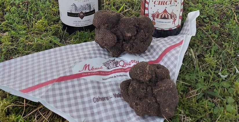 Truffe fraîche Extra à partir de 28€