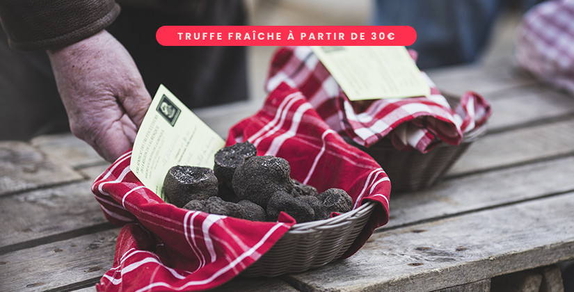 Conserver une truffe fraîche: comment procéder? – La Mémé du Quercy
