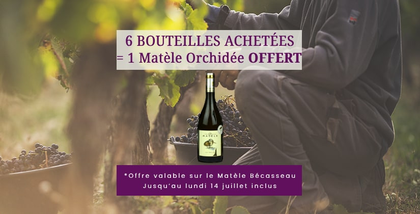 6 bécasseau = 1 matèle en cadeau